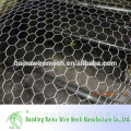 Chicken Coop Galvanized Wire Mesh